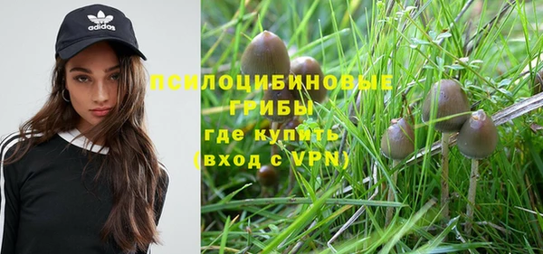 соль курить ск Абаза