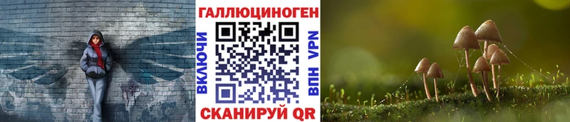 mega зеркало Гусиноозёрск Галлюциногенные грибы MAGIC MUSHROOMS