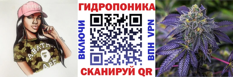 Каннабис сатива  Гусиноозёрск 
